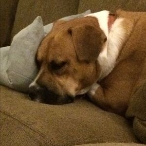 Meet your Posher, Cynthia